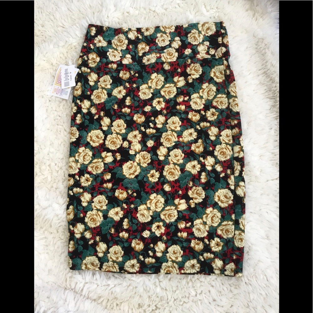 NWT LuLaRoe Cassie skirt